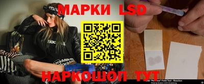 прущие грибы Будённовск