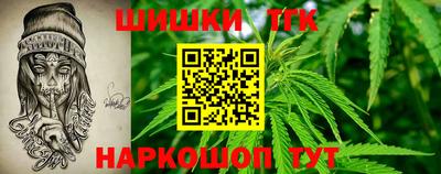прущие грибы Будённовск