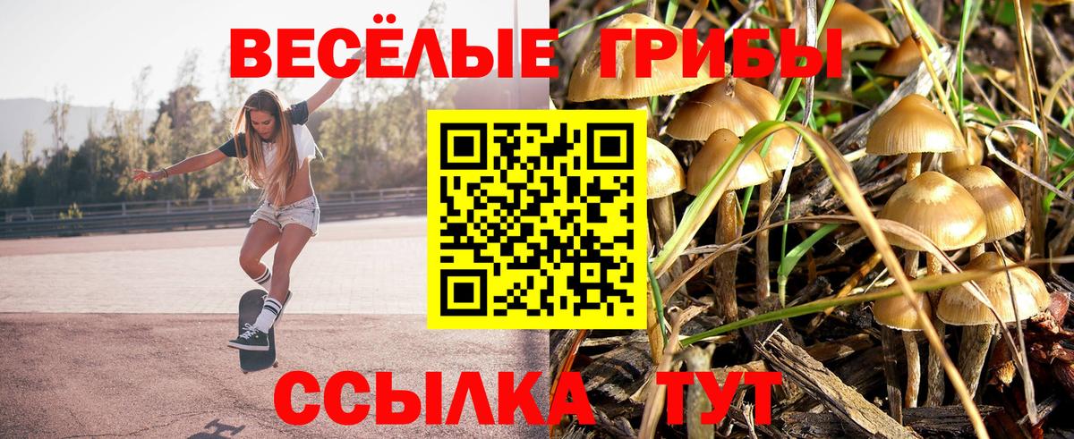 Псилоцибиновые грибы ЛСД Югорск